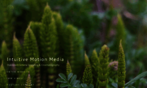 Intuitivemotionmedia.com thumbnail