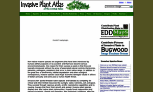 Invasiveplantatlas.org thumbnail