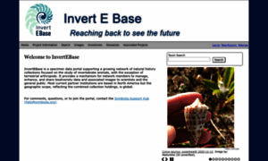 Invertebase.org thumbnail