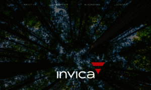 Invicagroup.com thumbnail