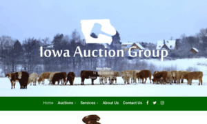 Iowaauctiongroup.com thumbnail