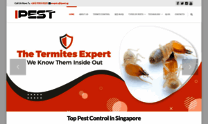 Ipest.sg thumbnail