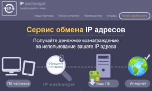 Ipexchanger.busineslight.ru thumbnail