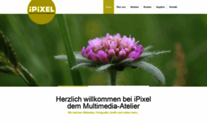 Ipixel.ch thumbnail