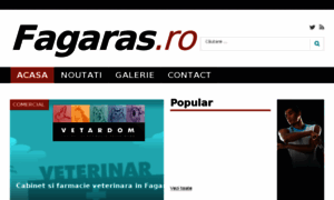 Irc.fagaras.ro thumbnail