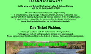 Ireland-salmon-fishing.net thumbnail