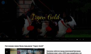 Irgengold.ru thumbnail