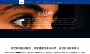 Iridology.com.cn thumbnail