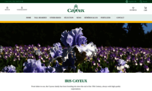 Iris-cayeux.com thumbnail