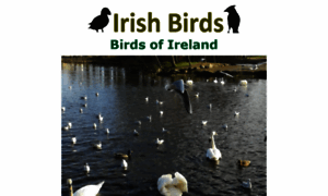 Irish-birds.info thumbnail