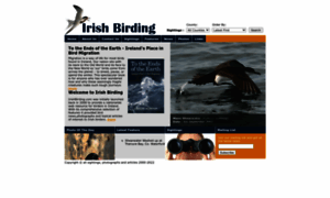 Irishbirding.com thumbnail