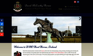 Irishhorsesforsale.com thumbnail