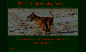 Irishterriers.nl thumbnail