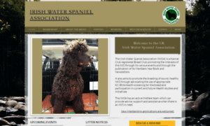 Irishwaterspaniels.org.uk thumbnail