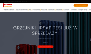 Irsap-grzejniki.pl thumbnail