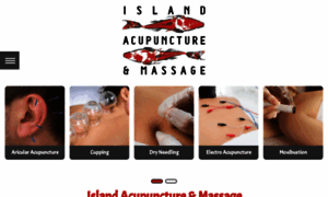 Islandacupunctureobx.com thumbnail