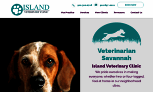 Islandvetclinic.com thumbnail