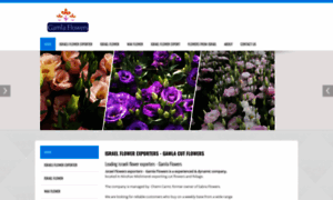 Israel-flowers.net thumbnail