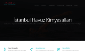 Istanbulhavuzkimyasallari.net thumbnail