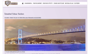 Istanbultekneturlari.com thumbnail