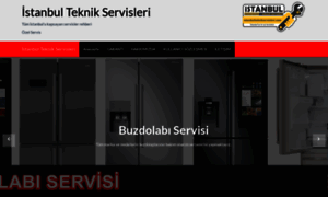Istanbulteknikservisleri.com thumbnail