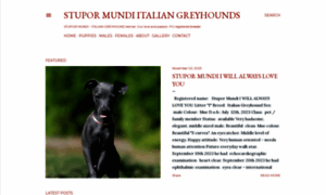 Italiangreyhound.eu thumbnail