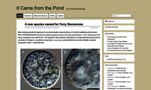 Itcamefromthepond.com thumbnail