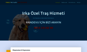 Izmirpetkuaforu.com thumbnail