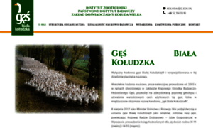 Izzd-koluda-wielka.com.pl thumbnail