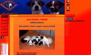 Jack-russell-terrier-jrt.cz thumbnail
