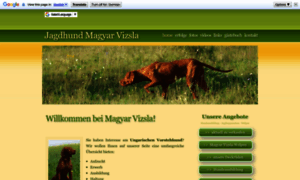 Jagdhund-magyar-vizsla.de thumbnail
