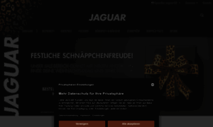 Jaguar-solingen.com thumbnail