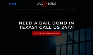 Jailbirdsbailbond.com thumbnail