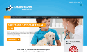 Jamessnowvet.com thumbnail