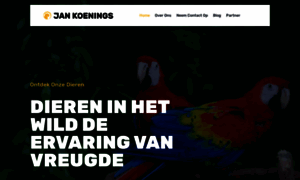 Jankoenings.nl thumbnail