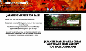 Japanesemaple.net thumbnail