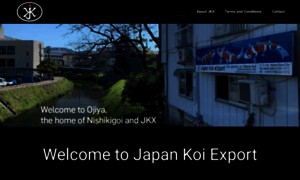 Japankoiexport.com thumbnail
