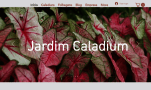 Jardimcaladium.com thumbnail