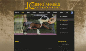 Jcringangels.com thumbnail