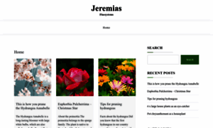 Jeremias-fluesystems.co.uk thumbnail