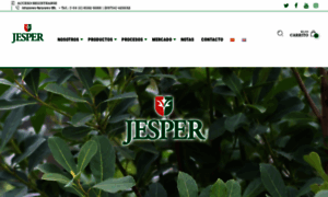 Jesper.com.ar thumbnail