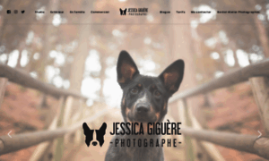 Jessicagiguere.com thumbnail