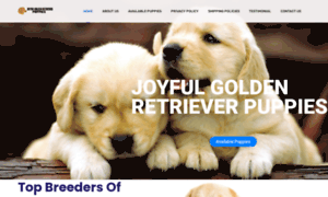 Jgoldenretrieverpuppies.com thumbnail