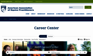 Jobs.aaep.org thumbnail