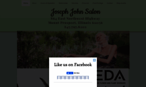 Josephjohnsalon.net thumbnail