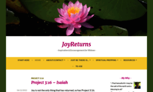 Joyreturns.com thumbnail