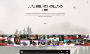 Jualkelincihollandlop.info thumbnail