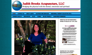 Judithbrooksacupuncture.com thumbnail