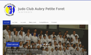 Judo-apf59.com thumbnail