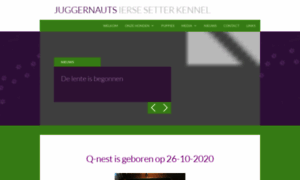 Juggernauts.nl thumbnail